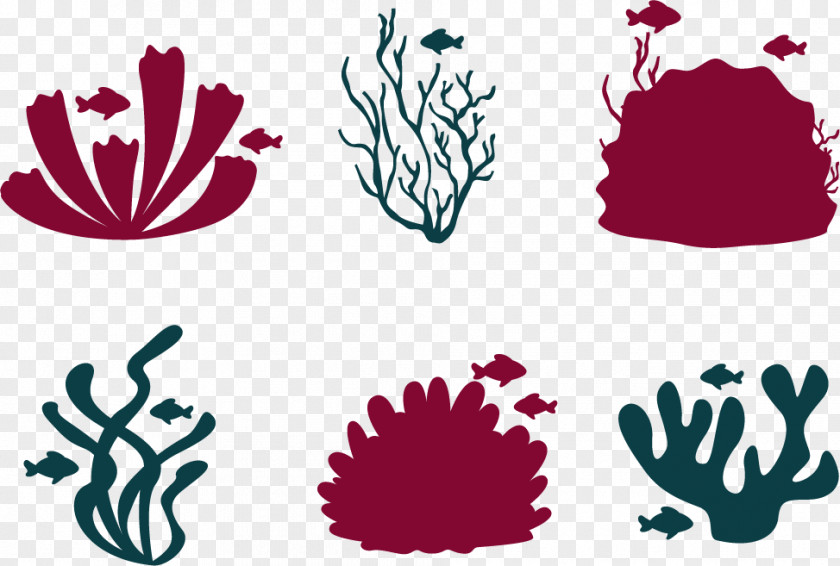 Vector SeaWorld Coral Reef Fish Euclidean PNG