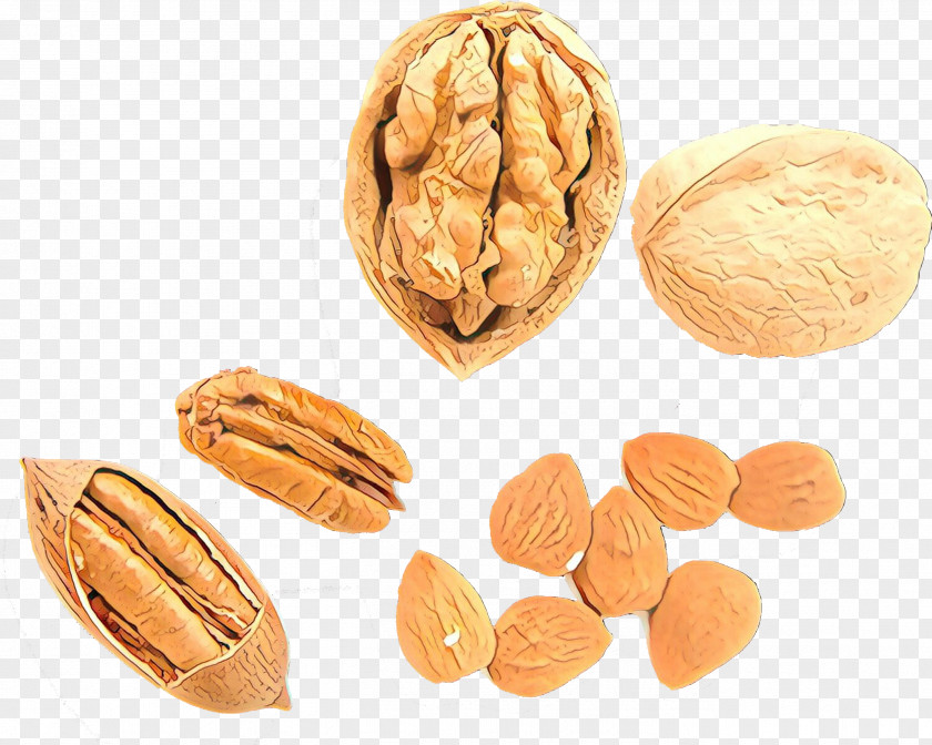 Walnut Nut Nuts & Seeds Almond Food PNG