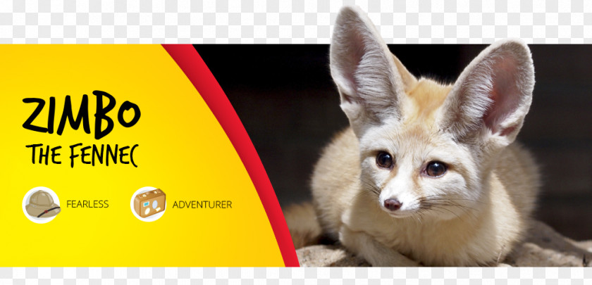 Zoo Part Fennec Fox Parc Safari Desert Adventurer Park PNG