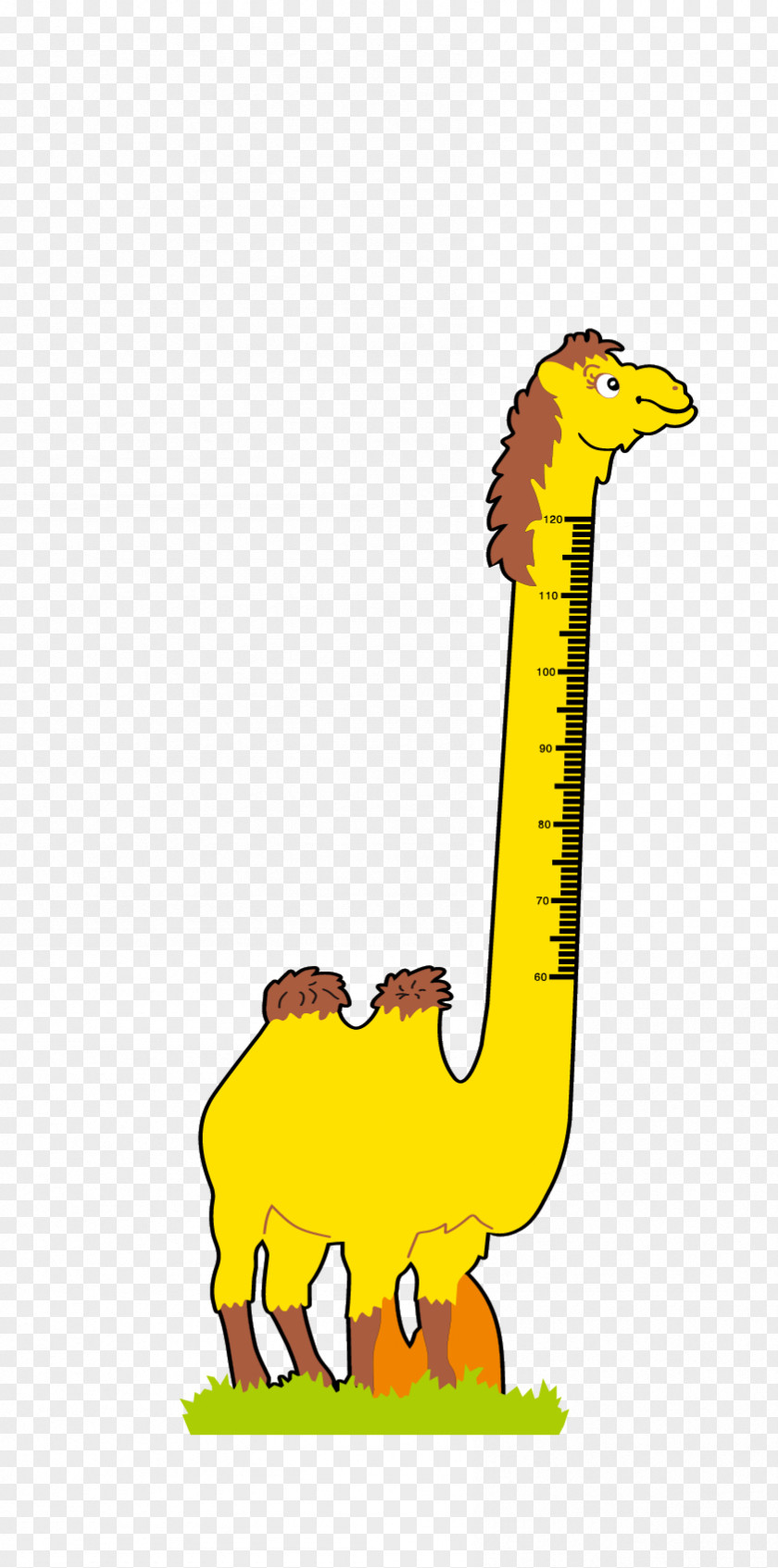 Camel Feet Tall Human Height Cartoon Child PNG