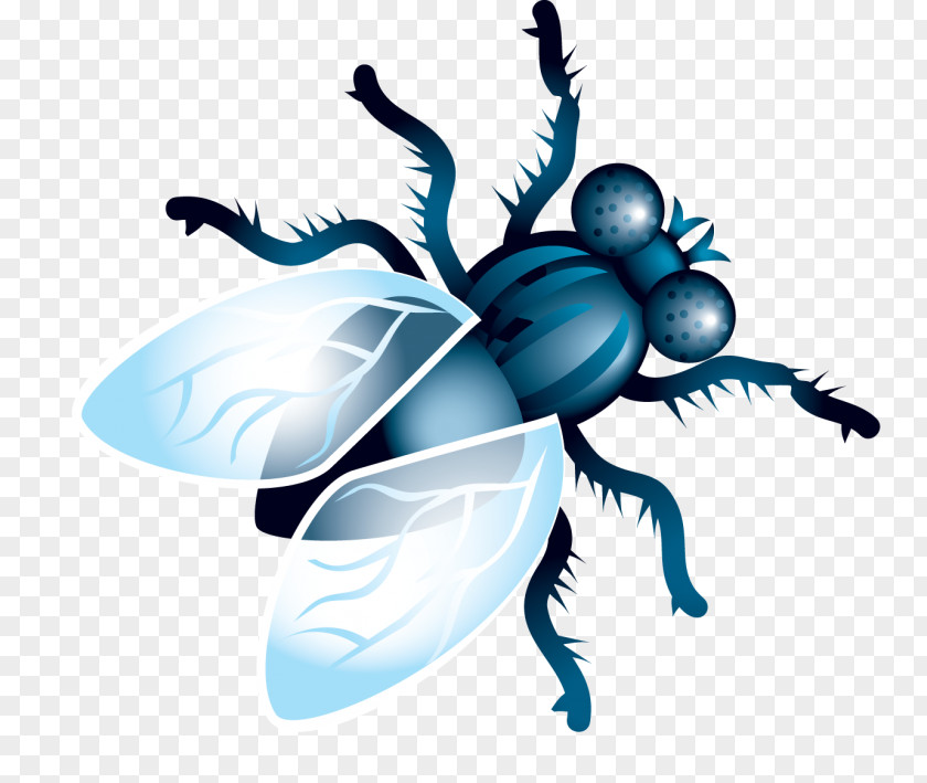 Fly Clip Art PNG