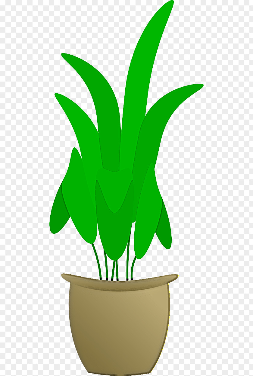 Green Leaf Plant Houseplant Flowerpot PNG