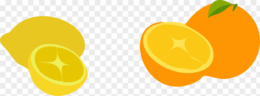 Lemon Orange Yellow Font PNG