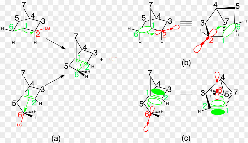 Pi 2-Norbornyl Cation Norbornane Carbocation Leaving Group PNG