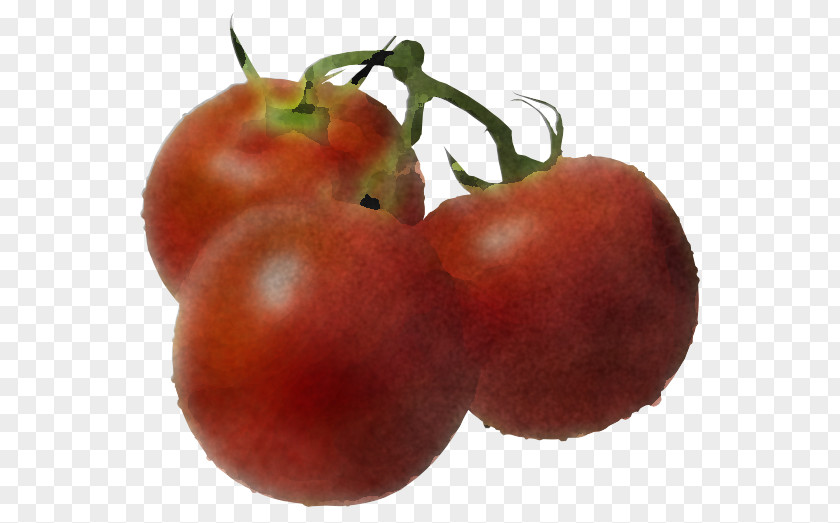 Superfood Plum Tomato PNG