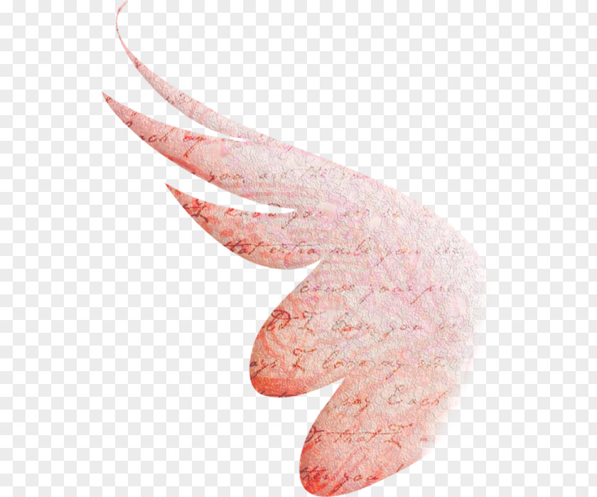 Angel Wings And Halo Pink M Mouth PNG