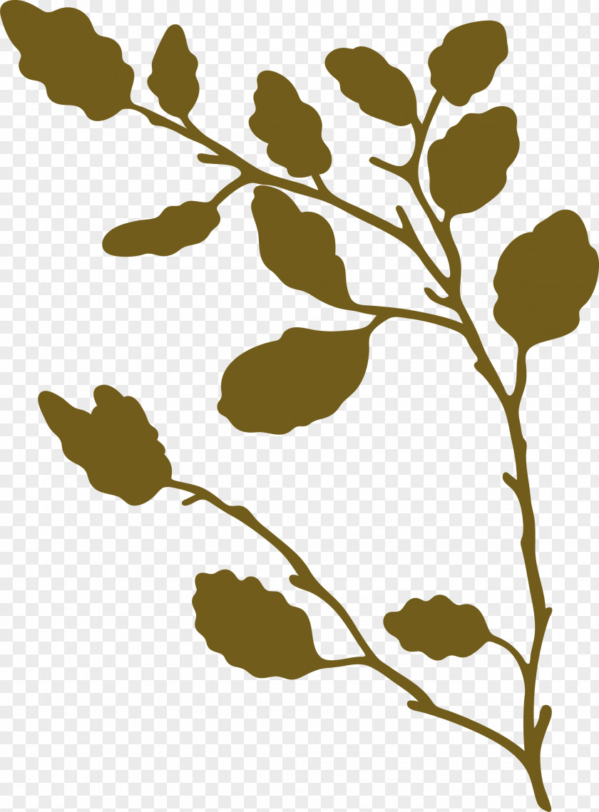 Twig Plant Stem Leaf Pattern Flower PNG