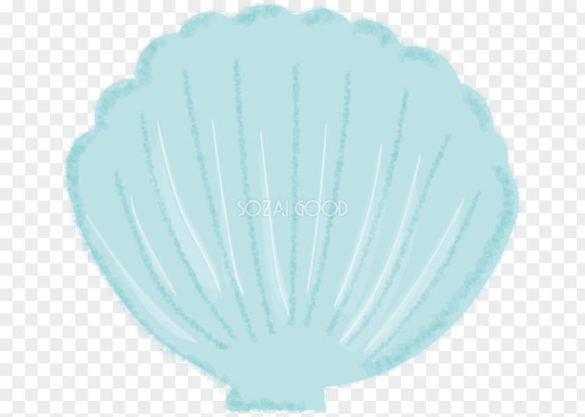 Ai.zip Illustrator Seashell PNG