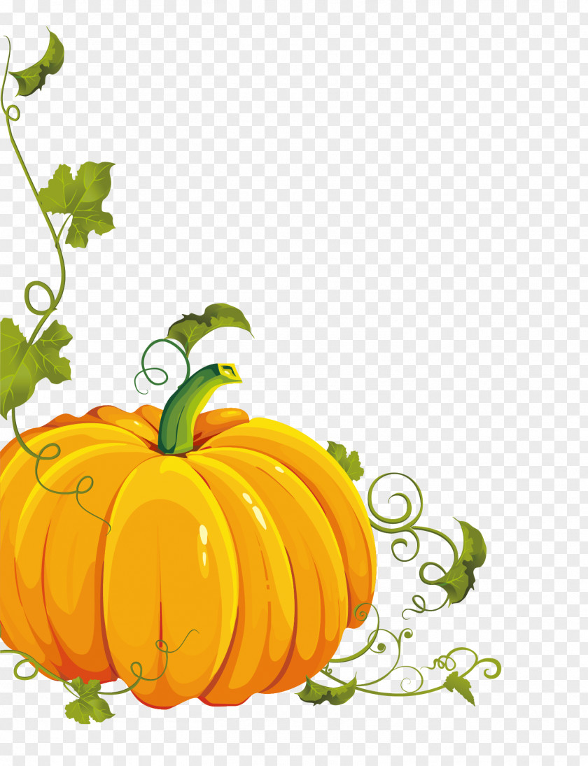 Kabocha Pumpkin Vector Graphics Halloween Clip Art Image PNG