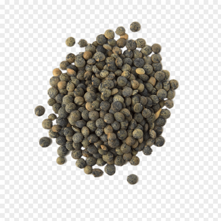 Lentils Insignia Le Puy Green Lentil Organic Food Legume PNG