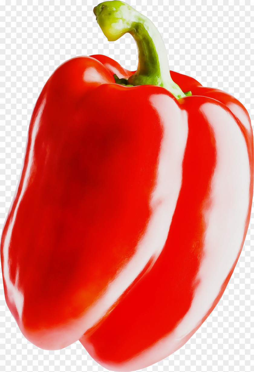 Plant Paprika Natural Foods Pimiento Bell Pepper Red Peppers And Chili PNG