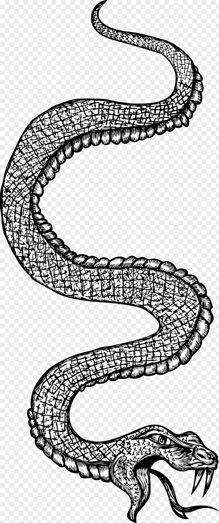 Snake Black And White Line Art PNG