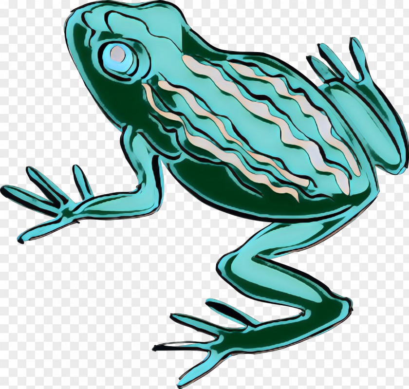 Toad True Frog Clip Art Tree PNG