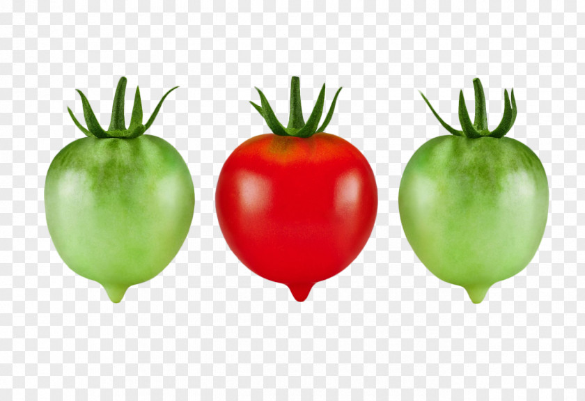 Tomato Hamburger Organic Food Cherry PNG
