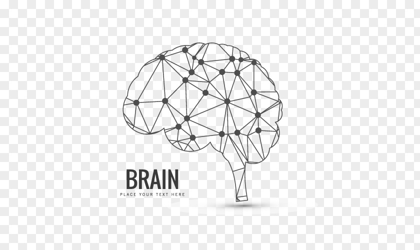 Vector Brain Human Neuroimaging Homo Sapiens PNG