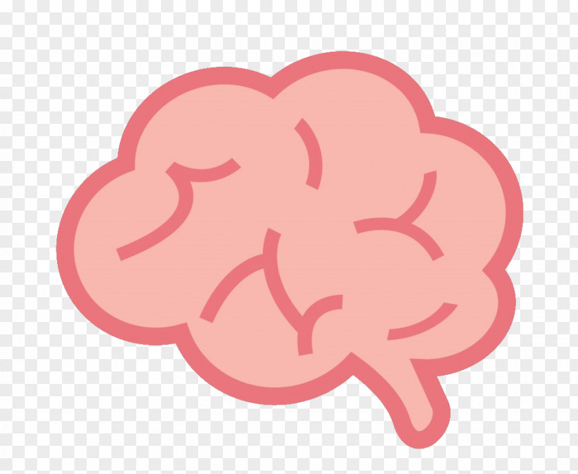 Brain Human Cerebrum Clip Art PNG