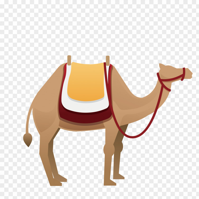 Camel Vector Graphics Clip Art Illustration Image PNG