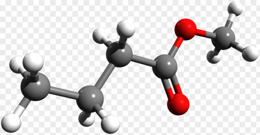 Methyl Butyrate Butyric Acid Molecule PNG