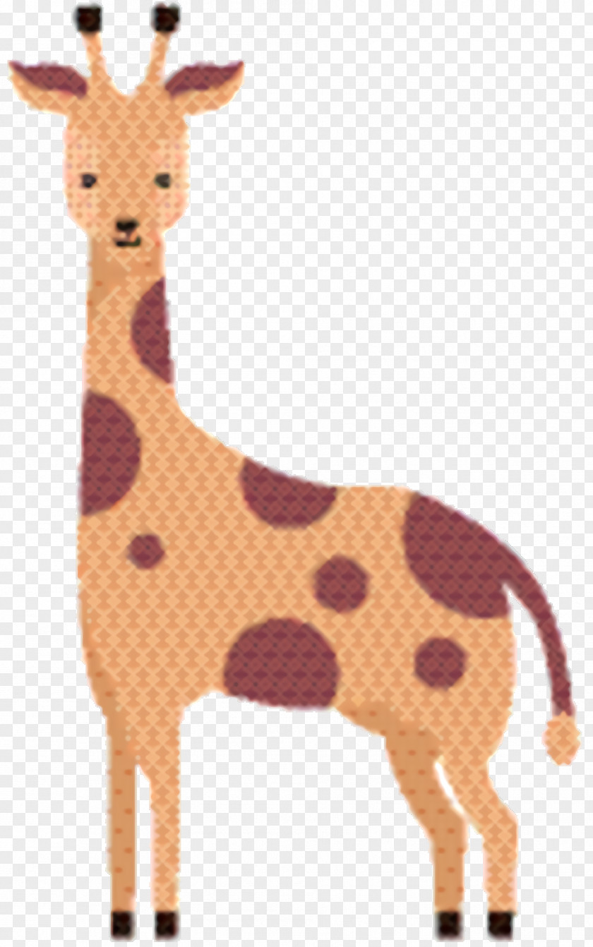 Stuffed Toy Fawn Giraffe Cartoon PNG