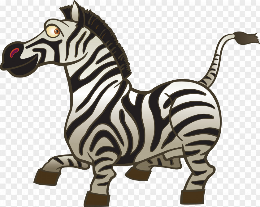 Zebra Download PNG