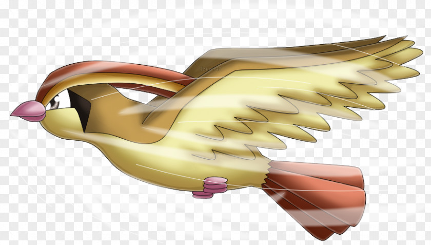 Aerial Pokémon Gold And Silver Pidgeotto Absol PNG