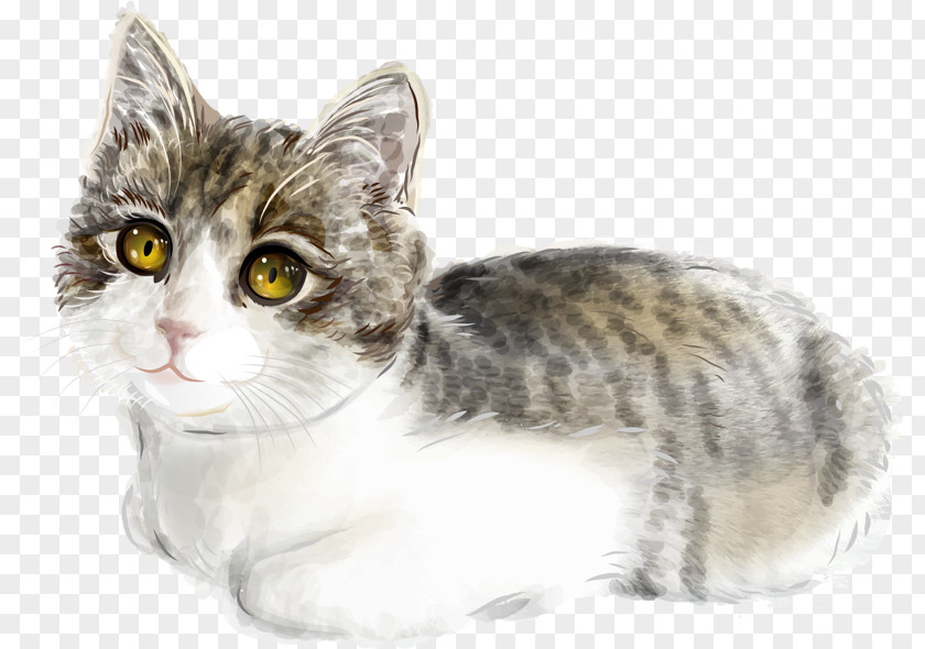 Cute Cat Kitten Illustration PNG