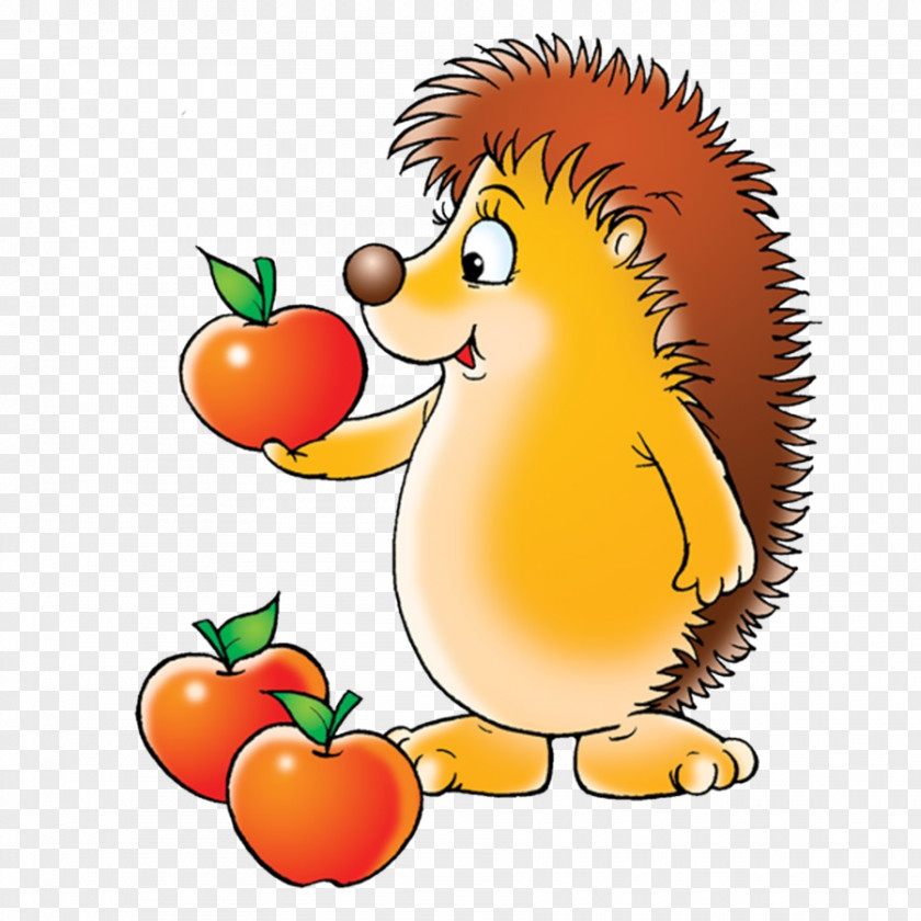 Eat Apples Hedgehog Squirrel Drawing Clip Art PNG