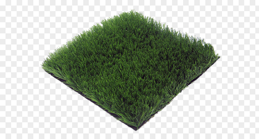 Grass Group Artificial Turf Lawn Floor Prato Price PNG