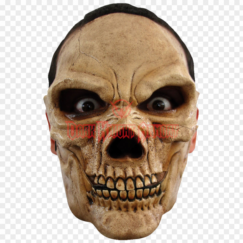 Mask Calavera Halloween Costume PNG