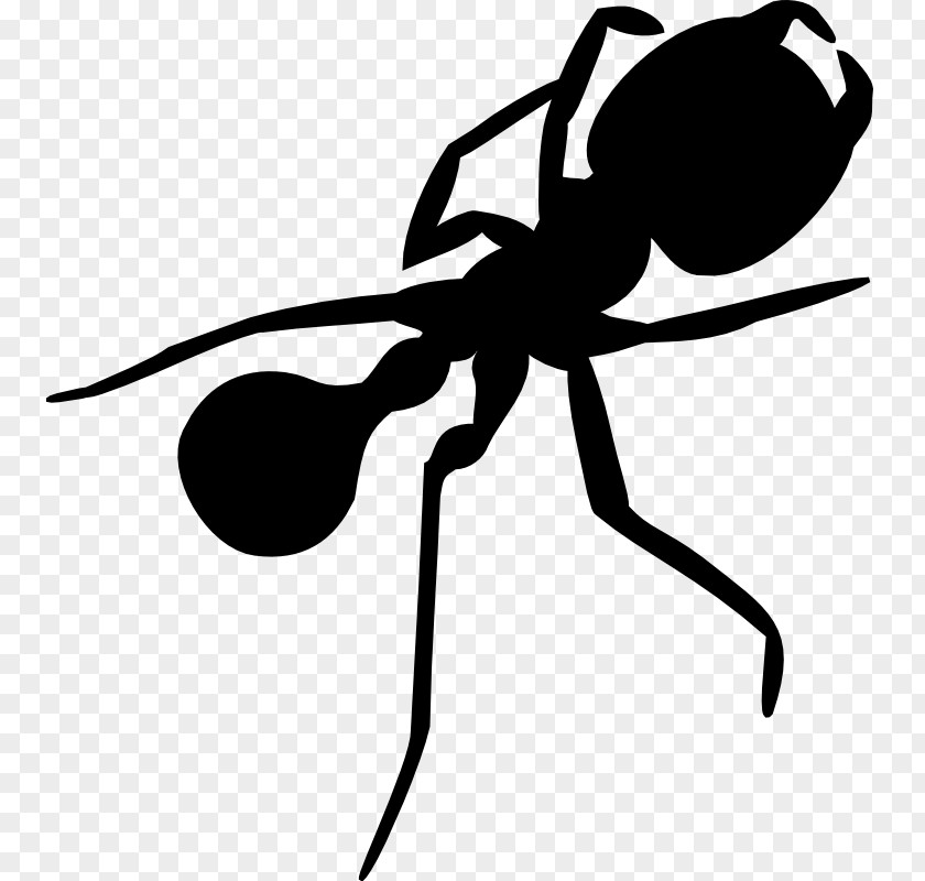 Silhouette Ant Clip Art PNG