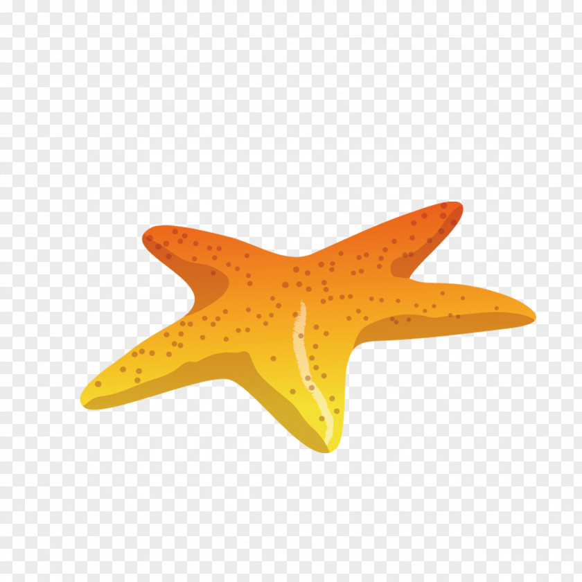 Starfish Sea Download PNG