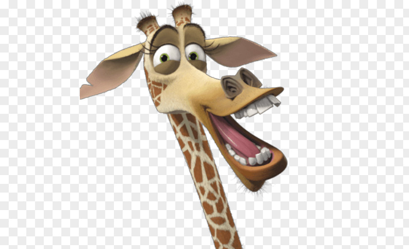 Alex Marty Melman And Gloria Giraffe Madagascar Film PNG