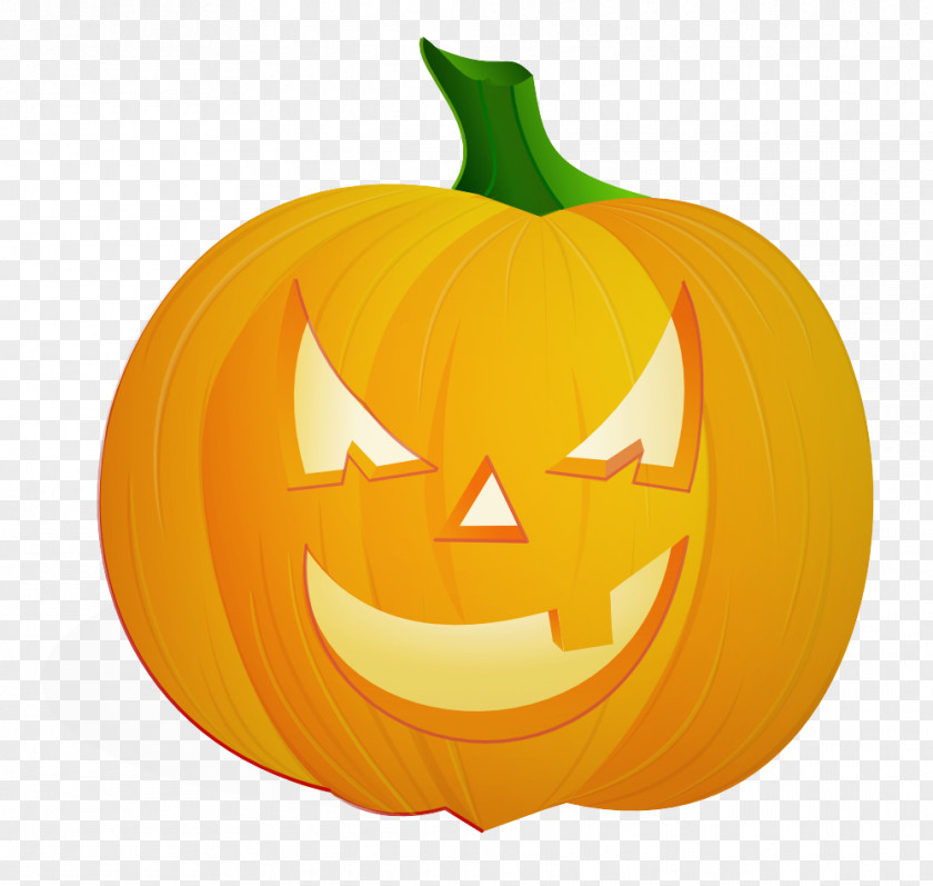 Cucurbita Plant Pumpkin PNG