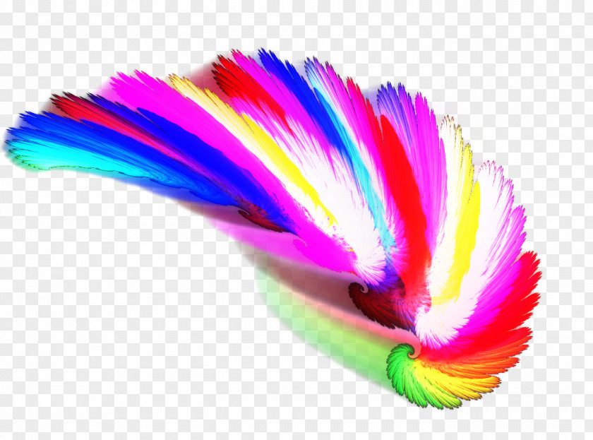 Feather IPL Intense Pulsed Light PNG