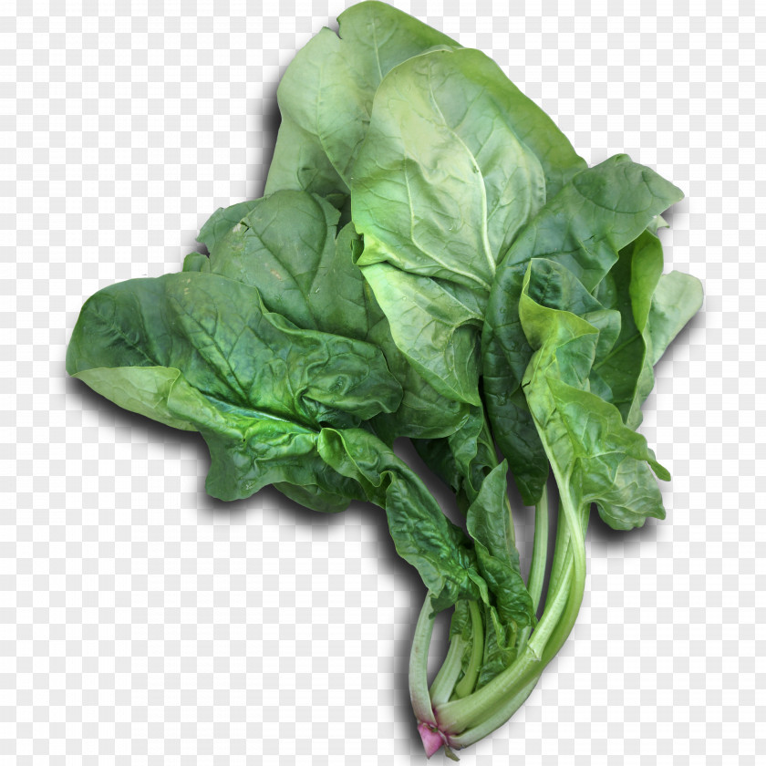 Green Vegetables Romaine Lettuce Cabbage Chinese Broccoli Spinach Vegetable PNG
