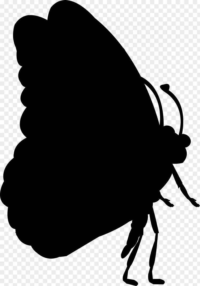 Insect Clip Art Silhouette PNG