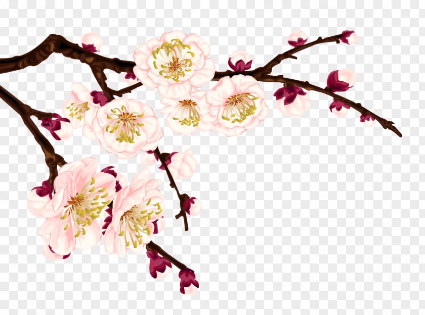 Plum Flower Download Pink Computer File PNG