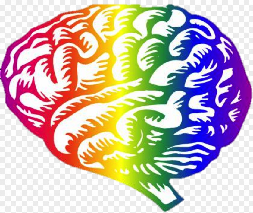 Australia Culture Human Brain Neuroscience Posttraumatic Stress Disorder Neuroimaging PNG
