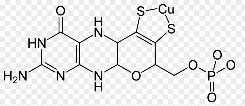 Bind Folinic Acid Folate Chemistry Molecule Allantoin PNG