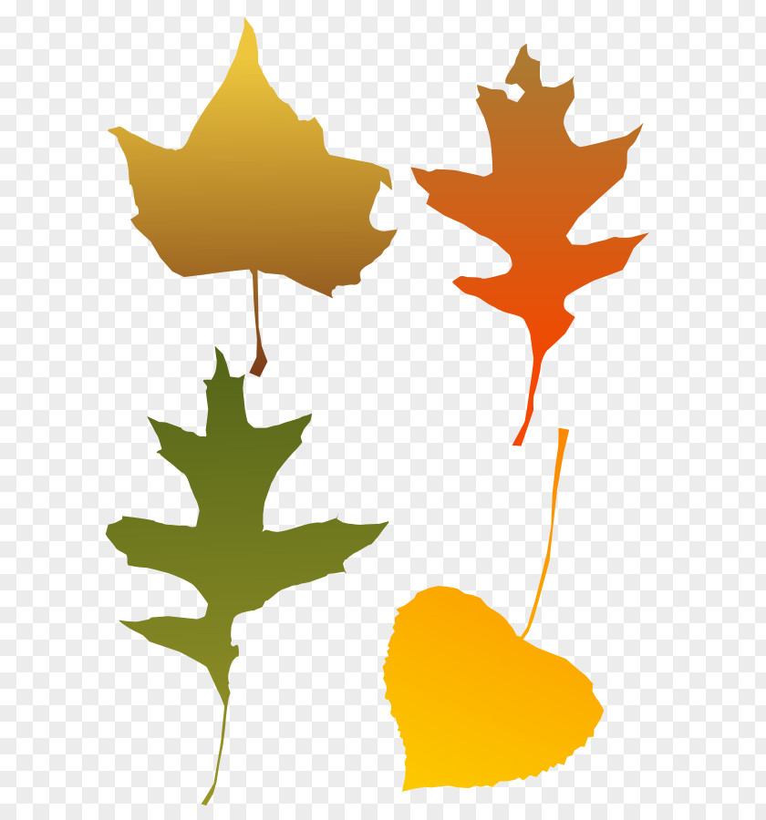 Fall Vector Art Autumn Leaf Color Clip PNG