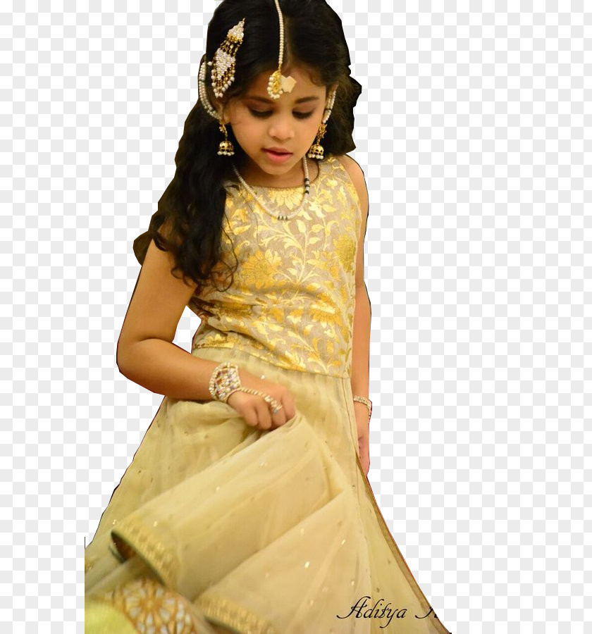 Wedding Sari Gown Dress Fashion PNG