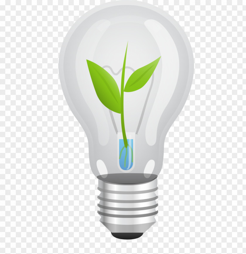 Exempts Incandescent Light Bulb Grow Escape Reality Lighting PNG