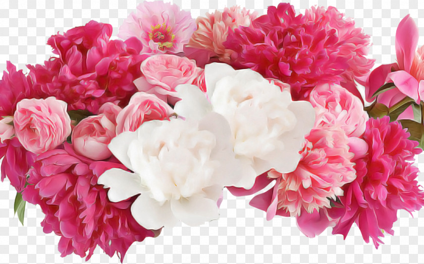 Flower Pink Cut Flowers Petal Plant PNG
