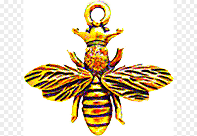 Iluminati Honey Bee Drawing Art PNG