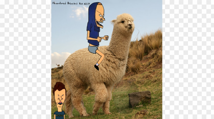 Butt-head Alpaca Beavis Llama PNG