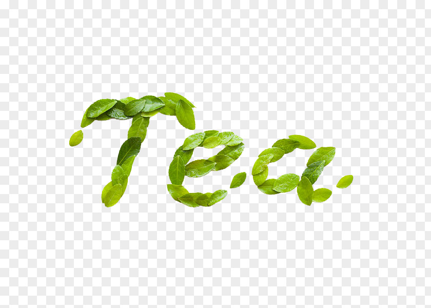 Green Tea Leaves Keemun Yum Cha Hyson PNG