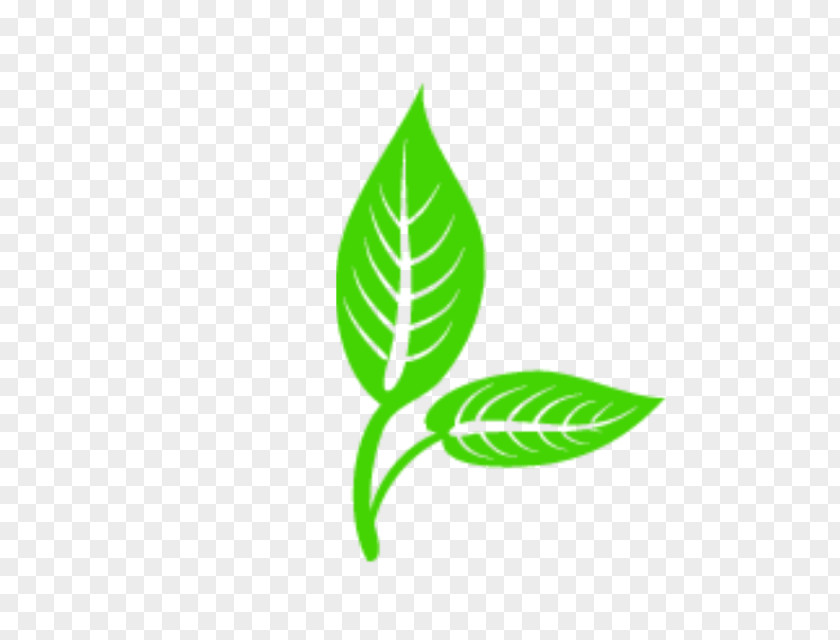 Leaf Logo Vector Graphics Clip Art Euclidean PNG