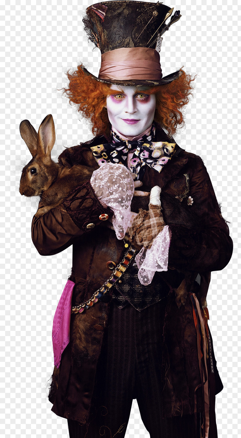 Mad Hatter Helena Bonham Carter The Alice In Wonderland Film PNG