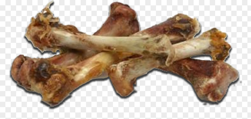 Chicken Bone As Food Roast Eating PNG