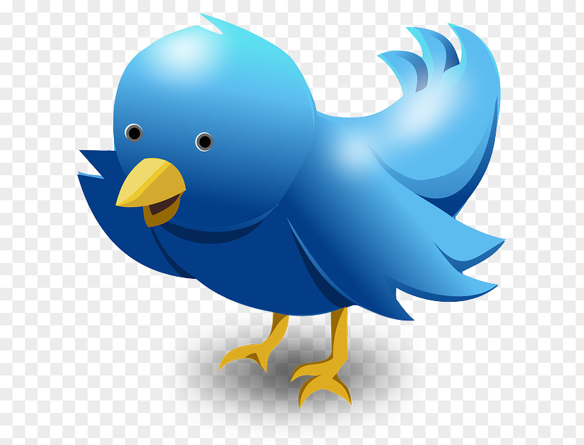 Follow Me On Twitter Clip Art Transparency Bird PNG